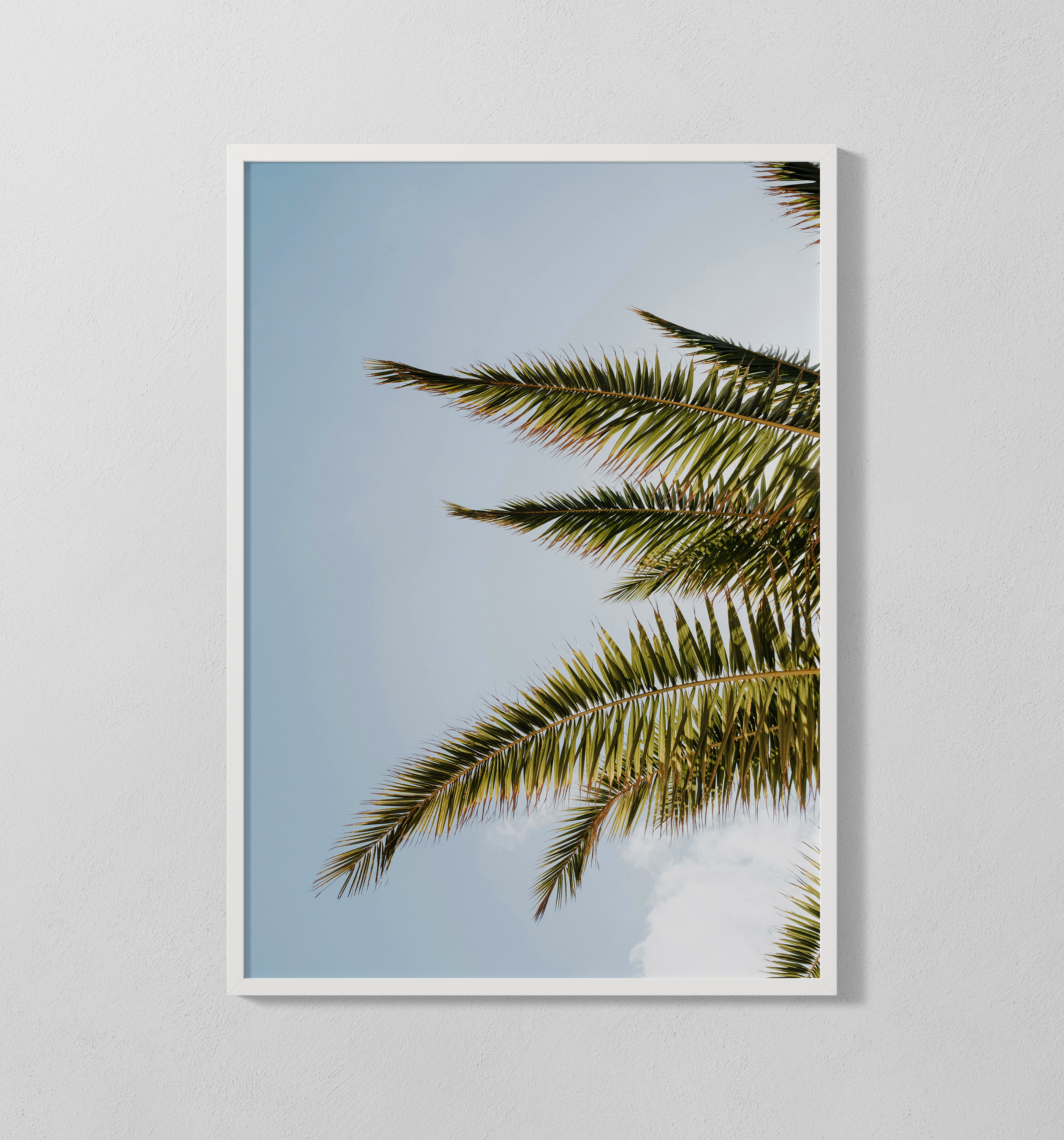 Palmen | Poster